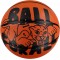Мяч баскетбольный Nike Everyday Playground 8P Amber/Black 