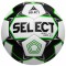Мяч футбольный Select Brillant Replica
